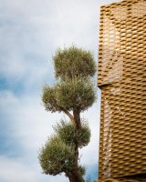 AOVEland & <span>(Re)nacimiento</span>